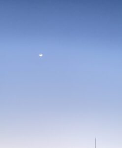 演技が毎回同じになる理由｜「リアル」と「リアリティ」の決定的な違いとは？