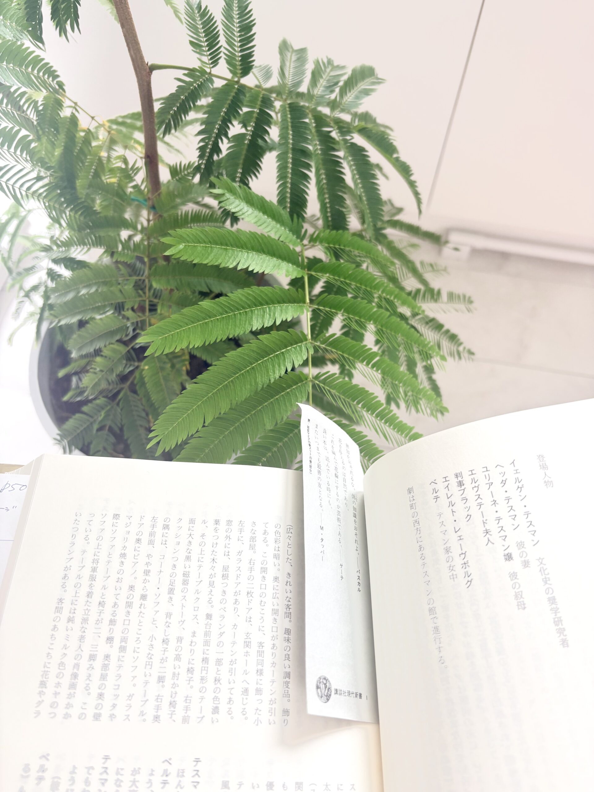 2026年11月20日・22日｜演技クラス・オンライン台本読解と少人数スタジオ実践｜長いセリフを自分ごとでしゃべる