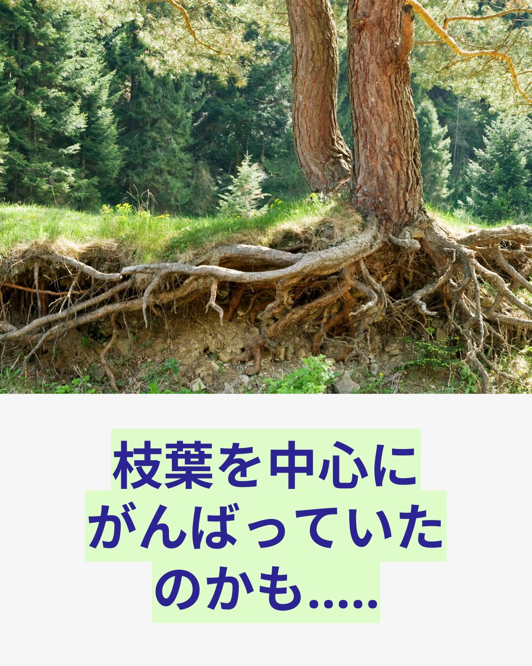 プロの演技コーチによる演技の浅さを超える解説